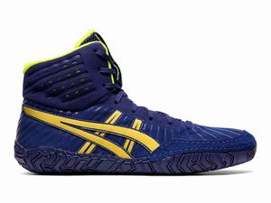 Asics Aggressor 4 Worstelschoenen Heren Blauw Goud Bruin | 468-ZSKNGP