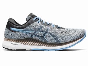 Asics EvoRide Hardloopschoenen Dames Blauw | 714-KFODBZ