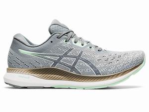Asics EvoRide Hardloopschoenen Dames Grijs Mintgroen | 507-XNKOZV