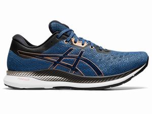 Asics EvoRide Hardloopschoenen Heren Donkergrijs | 123-XEZYSK