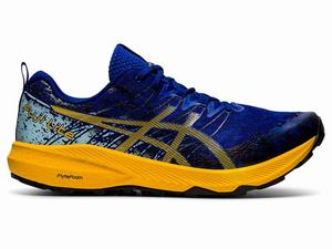 Asics FUJI LITE 2 Hockeyschoenen Heren Blauw Oranje Bloemen | 812-POGVYF