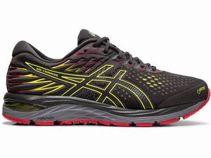 Asics GEL-CUMULUS 21 G-TX Hardloopschoenen Heren Grijs | 498-AFETYO