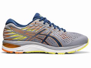 Asics GEL-CUMULUS 21 SP Hardloopschoenen Heren Blauw | 058-MAFWXN