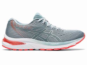 Asics GEL-CUMULUS 22 (D) Hardloopschoenen Dames Lichtgrijs | 103-AJUITK