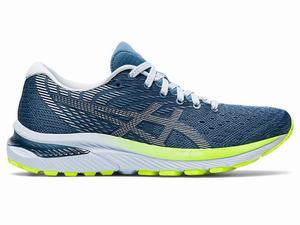 Asics GEL-CUMULUS 22 Hardloopschoenen Dames Grijs Wit | 427-WYCELX