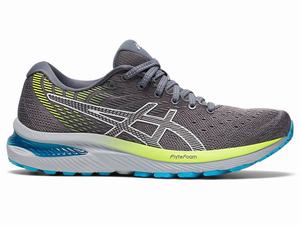 Asics GEL-CUMULUS 22 Hardloopschoenen Dames Zilver | 501-OLJBGS
