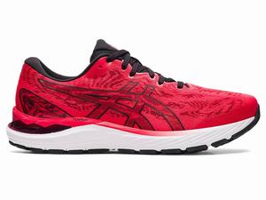 Asics GEL-CUMULUS 23 Hardloopschoenen Heren Zwart Rood | 952-TBXHJU