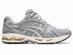 Asics GEL-KAYANO 14 Sneakers Heren Grijs | 847-GUSLNW