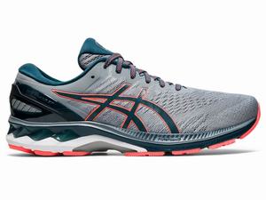 Asics GEL-KAYANO 27 (2E) Hardloopschoenen Heren Grijs | 698-KNQTJU
