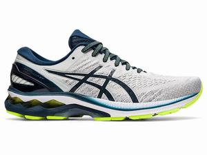 Asics GEL-KAYANO 27 Hardloopschoenen Heren Grijs Blauw | 830-SFYUIK