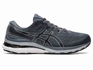 Asics GEL-KAYANO 28 (4E) Hardloopschoenen Heren Zwart Grijs | 902-LWVSKC