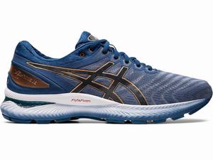 Asics GEL-NIMBUS 22 (4E) Hardloopschoenen Heren Grijs | 328-LTQIDJ