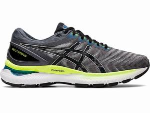 Asics GEL-NIMBUS 22 Hardloopschoenen Heren Zwart Grijs | 291-BNJDUE