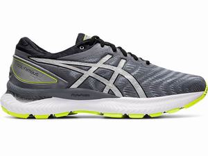 Asics GEL-NIMBUS 22 LITE-SHOW Hardloopschoenen Heren Zilver | 263-VXMQIE
