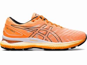 Asics GEL-NIMBUS 22 MODERN TOKYO Hardloopschoenen Heren Oranje Zwart | 964-PZIDSO