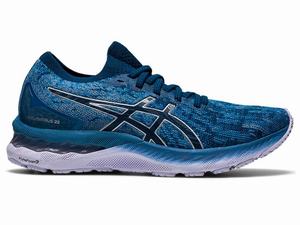 Asics GEL-NIMBUS 23 KNIT Hardloopschoenen Dames Grijs Blauw | 793-YVZTLR