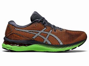 Asics GEL-NIMBUS 23 LITE-SHOW Hardloopschoenen Heren Grijs Zilver | 164-BJSPGA