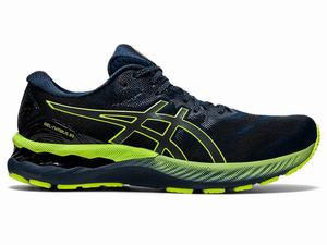 Asics GEL-NIMBUS 23 LITE-SHOW Hardloopschoenen Heren Blauw | 751-DCGSQP