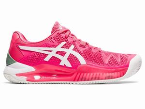 Asics GEL-RESOLUTION 8 CLAY Tennisschoenen Dames Roze Wit | 631-TQMJIY