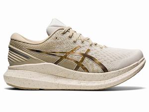 Asics GLIDERIDE 2 Hardloopschoenen Heren Room | 862-KOMHGE