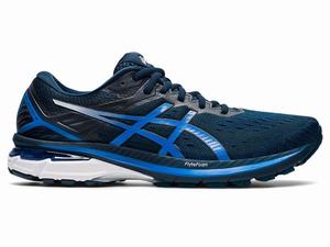 Asics GT-2000 9 Hardloopschoenen Heren Blauw | 485-ECLHRJ