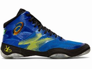 Asics JB ELITE IV Worstelschoenen Heren Zwart Blauw Bruin | 037-ICVOTD