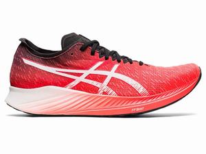 Asics MAGIC SPEED Hardloopschoenen Heren Oranje Rood Wit | 342-ZBXTFM
