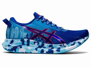 Asics NOOSA TRI 13 BOSTON Hardloopschoenen Dames Rood Blauw | 935-XUMRBG