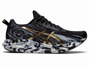 Asics NOOSA TRI 13 Hardloopschoenen Dames Zwart Goud | 739-ZPOHAB
