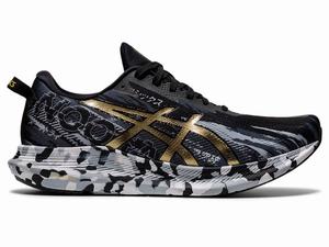 Asics NOOSA TRI 13 Hardloopschoenen Heren Zwart Goud | 245-IMZDUO