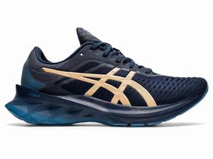 Asics NOVABLAST Hardloopschoenen Dames Blauw | 049-RSCULY