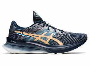 Asics NOVABLAST Hardloopschoenen Dames Blauw | 385-NJRXMY