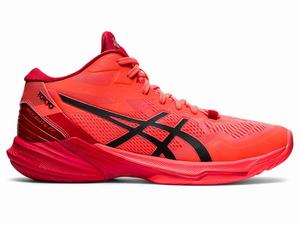 Asics SKY ELITE FF MT 2 TOKYO Volleybalschoenen Heren Oranje Rood Zwart | 048-EQNRVH