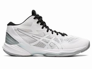 Asics SKY ELITE FF MT 2 Volleybalschoenen Heren Wit Zilver | 782-KAYWLH