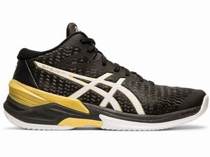 Asics SKY ELITE FF MT Volleybalschoenen Heren Zwart Wit | 534-FROCBS